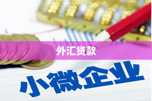 南海外汇贷款