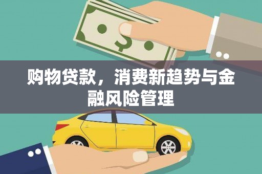 南海购物贷款，消费新趋势与金融风险管理