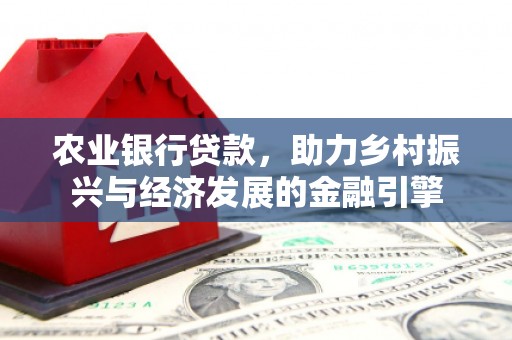 南海农业银行贷款，助力乡村振兴与经济发展的金融引擎