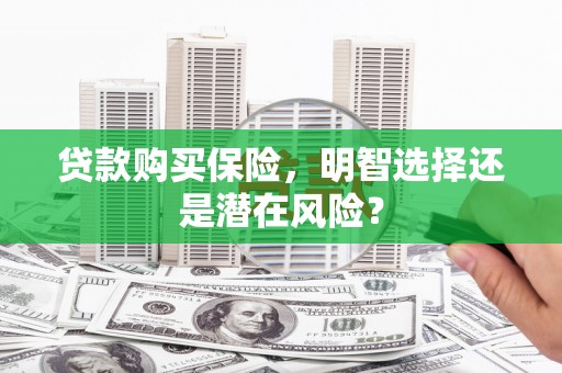 南海贷款购买保险，明智选择还是潜在风险？