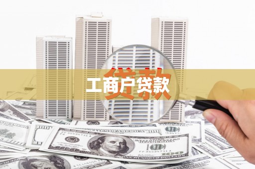 南海工商户贷款