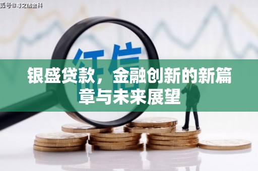 南海银盛贷款，金融创新的新篇章与未来展望