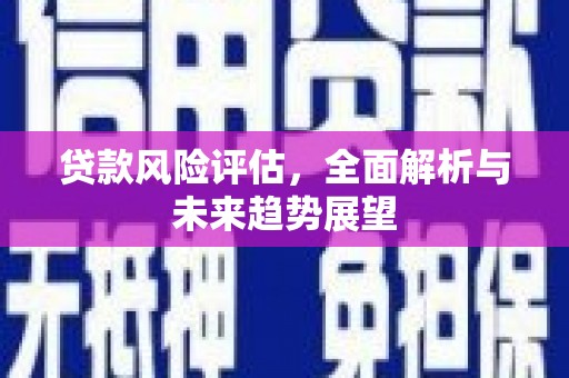 南海贷款风险评估，全面解析与未来趋势展望