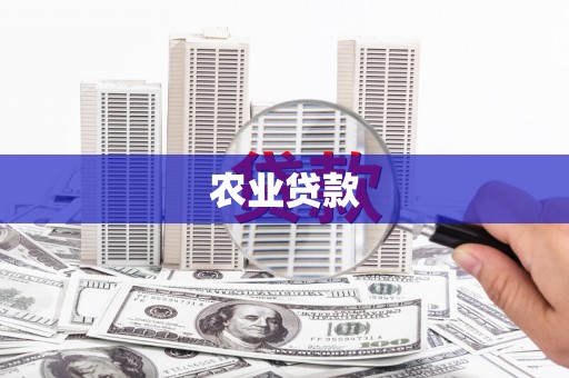 南海农业贷款