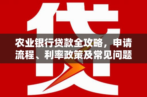 南海农业银行贷款全攻略，申请流程、利率政策及常见问题解析