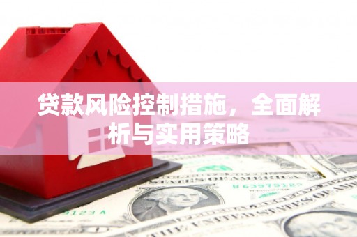 南海贷款风险控制措施，全面解析与实用策略