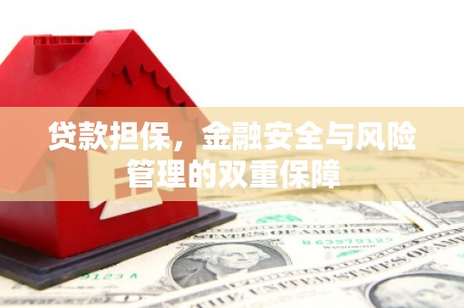 南海贷款担保，金融安全与风险管理的双重保障