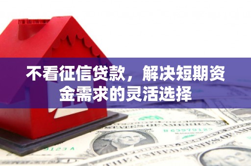 南海不看征信贷款，解决短期资金需求的灵活选择