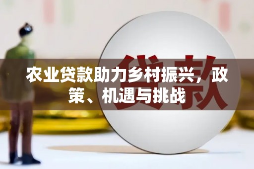 南海农业贷款助力乡村振兴，政策、机遇与挑战