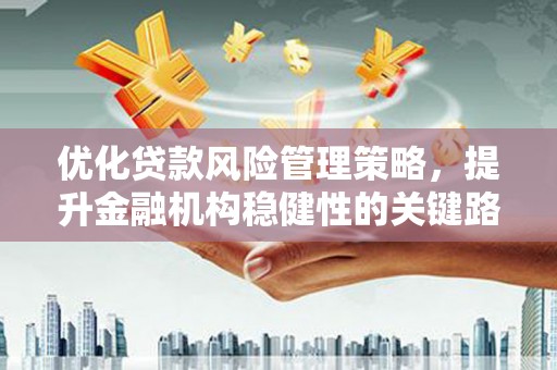 南海优化贷款风险管理策略，提升金融机构稳健性的关键路径