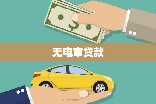 南海无电审贷款