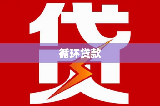 南海循环贷款