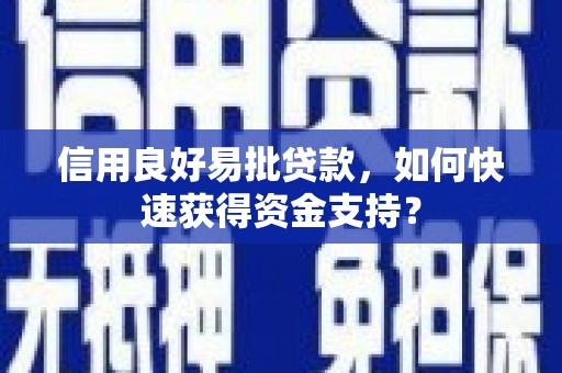 南海信用良好易批贷款，如何快速获得资金支持？