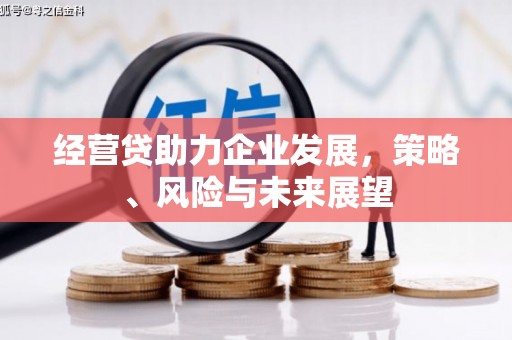南海经营贷助力企业发展，策略、风险与未来展望