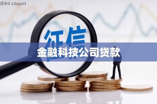 南海金融科技公司贷款