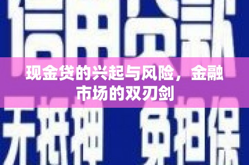 南海现金贷的兴起与风险，金融市场的双刃剑