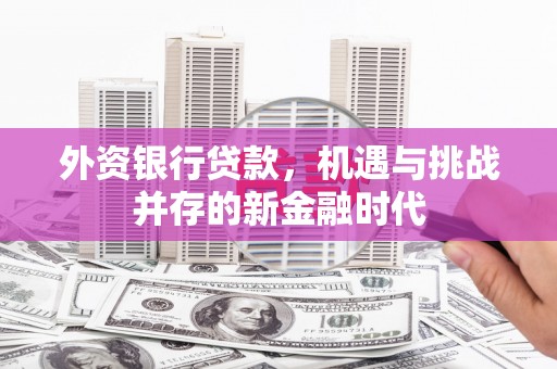 南海外资银行贷款，机遇与挑战并存的新金融时代