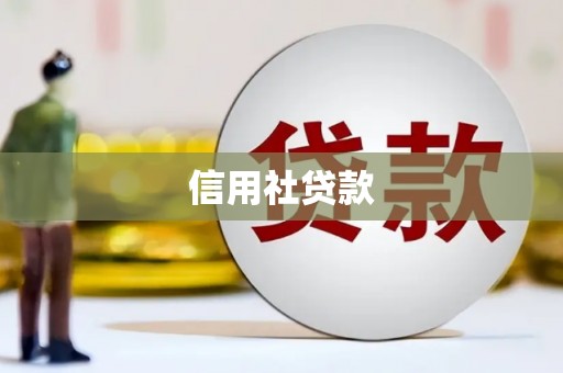 南海信用社贷款