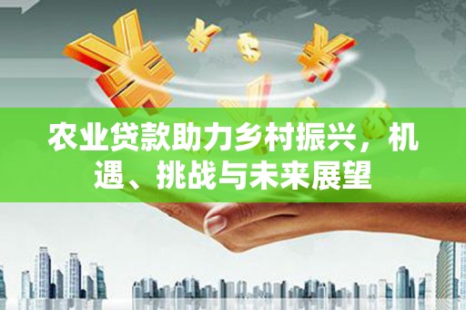 南海农业贷款助力乡村振兴，机遇、挑战与未来展望