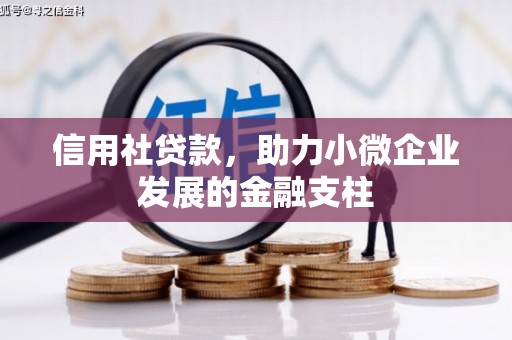 南海信用社贷款，助力小微企业发展的金融支柱