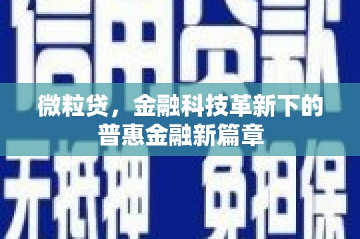 南海微粒贷，金融科技革新下的普惠金融新篇章