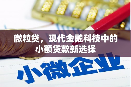 南海微粒贷，现代金融科技中的小额贷款新选择