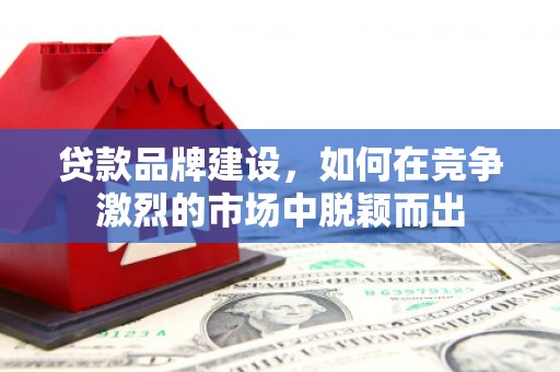 南海贷款品牌建设，如何在竞争激烈的市场中脱颖而出
