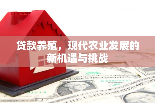南海贷款养殖，现代农业发展的新机遇与挑战