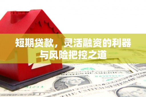 南海短期贷款，灵活融资的利器与风险把控之道