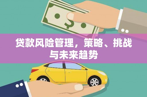 南海贷款风险管理，策略、挑战与未来趋势