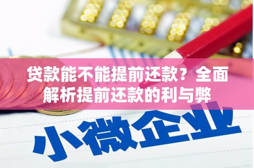 南海贷款能不能提前还款？全面解析提前还款的利与弊