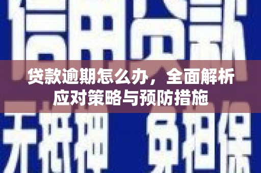 南海贷款逾期怎么办，全面解析应对策略与预防措施