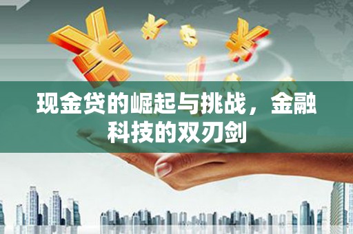 南海现金贷的崛起与挑战，金融科技的双刃剑