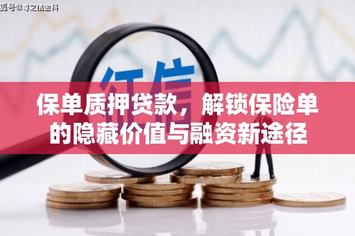 南海保单质押贷款，解锁保险单的隐藏价值与融资新途径