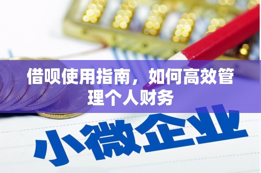 南海借呗使用指南，如何高效管理个人财务