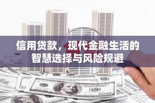 南海信用贷款，现代金融生活的智慧选择与风险规避