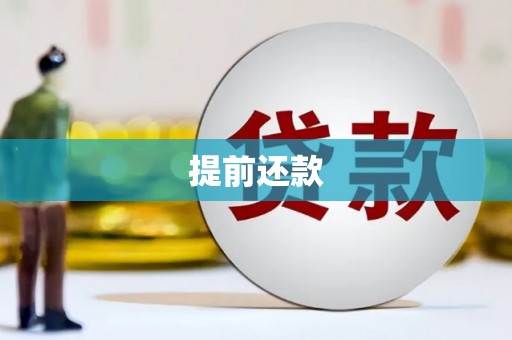 南海提前还款