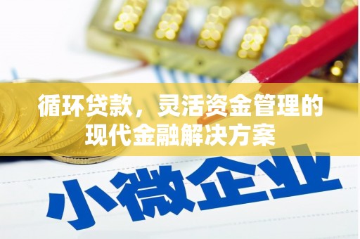 南海循环贷款，灵活资金管理的现代金融解决方案