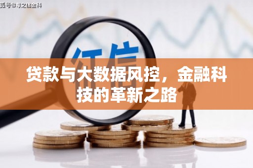 南海贷款与大数据风控，金融科技的革新之路