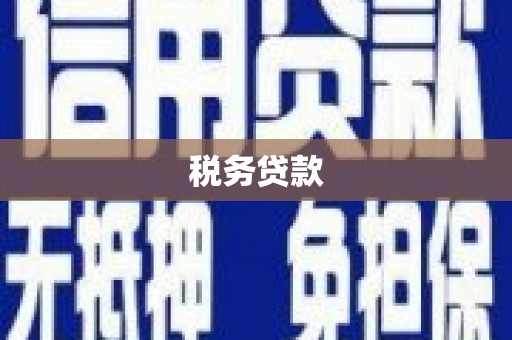 南海税务贷款