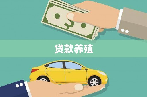 南海贷款养殖