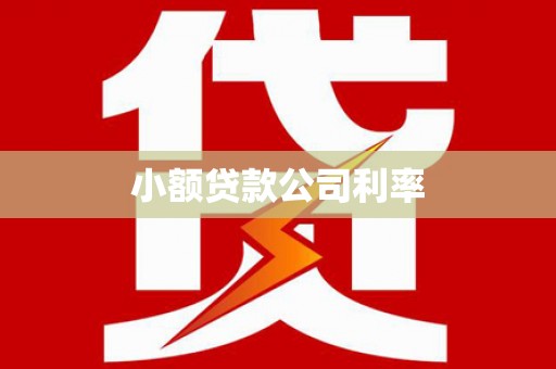 南海小额贷款公司利率