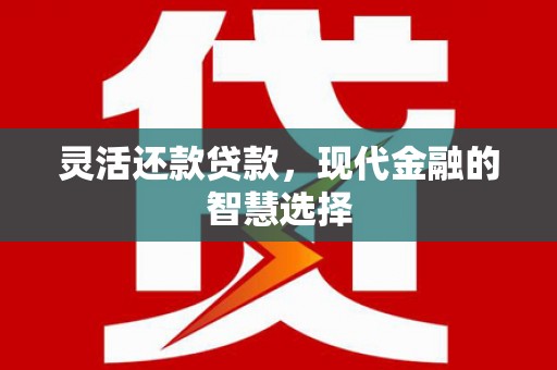 南海灵活还款贷款，现代金融的智慧选择