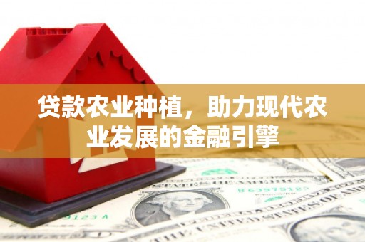 南海贷款农业种植，助力现代农业发展的金融引擎