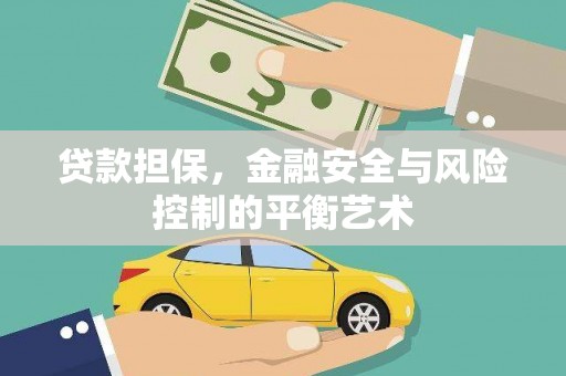 南海贷款担保，金融安全与风险控制的平衡艺术