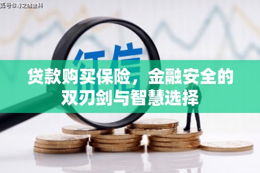 南海贷款购买保险，金融安全的双刃剑与智慧选择