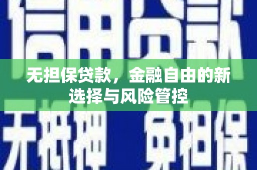 南海无担保贷款，金融自由的新选择与风险管控