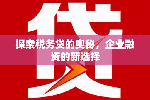 南海探索税务贷的奥秘，企业融资的新选择