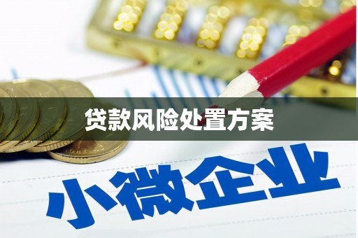 南海贷款风险处置方案