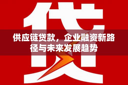 南海供应链贷款，企业融资新路径与未来发展趋势
